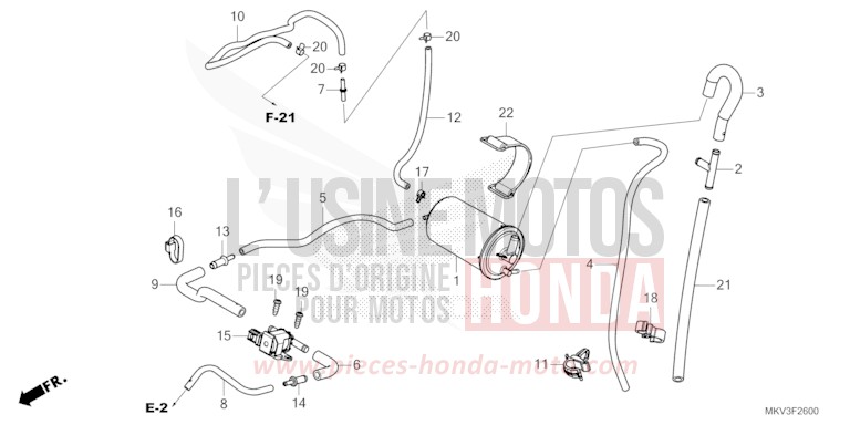 AKTIVKOHLEBEHAELTER von Forza 750 MAT BETA SILVER METALLIC (NHC08) von 2022